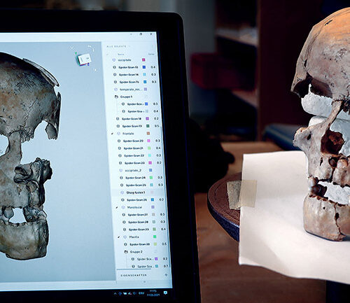 Excalibur ECCCH Bio-archaeological collection DUTH image